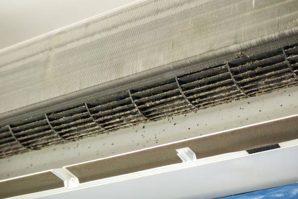 Best Affordable HVAC Duct Cleaning  in Pinewood Estates, TX